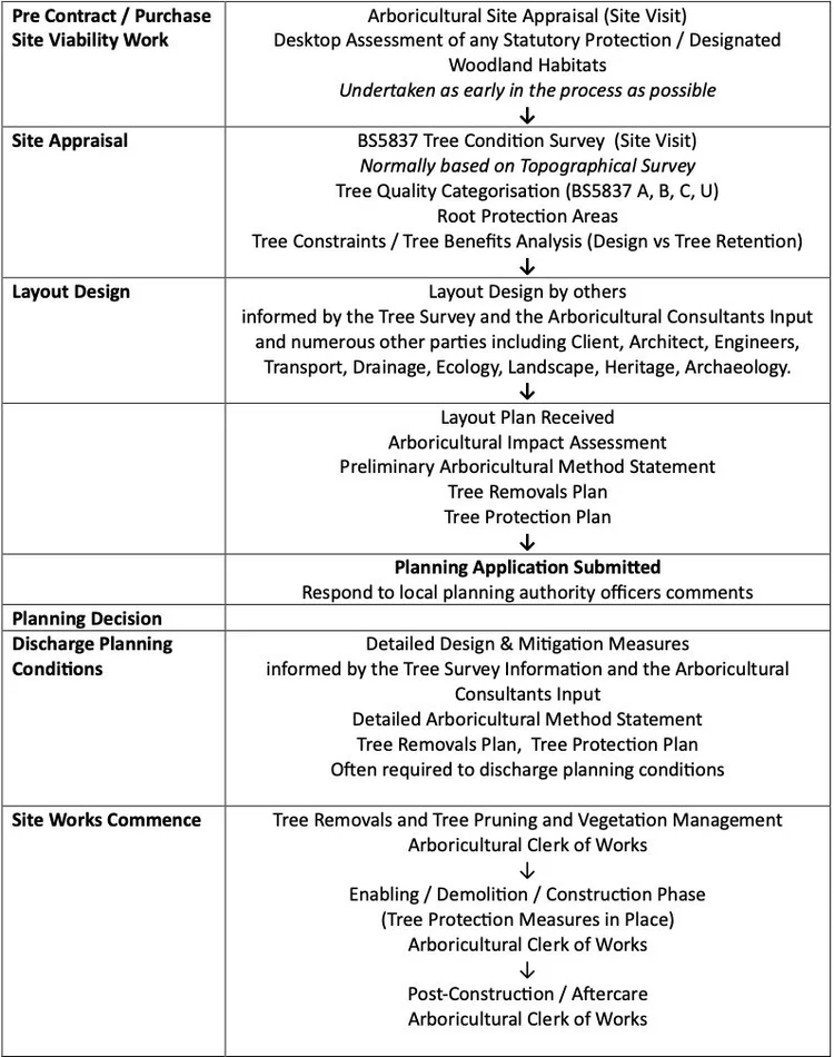 Understanding BS5837 - Trees in Relation to Design, Demolition ...