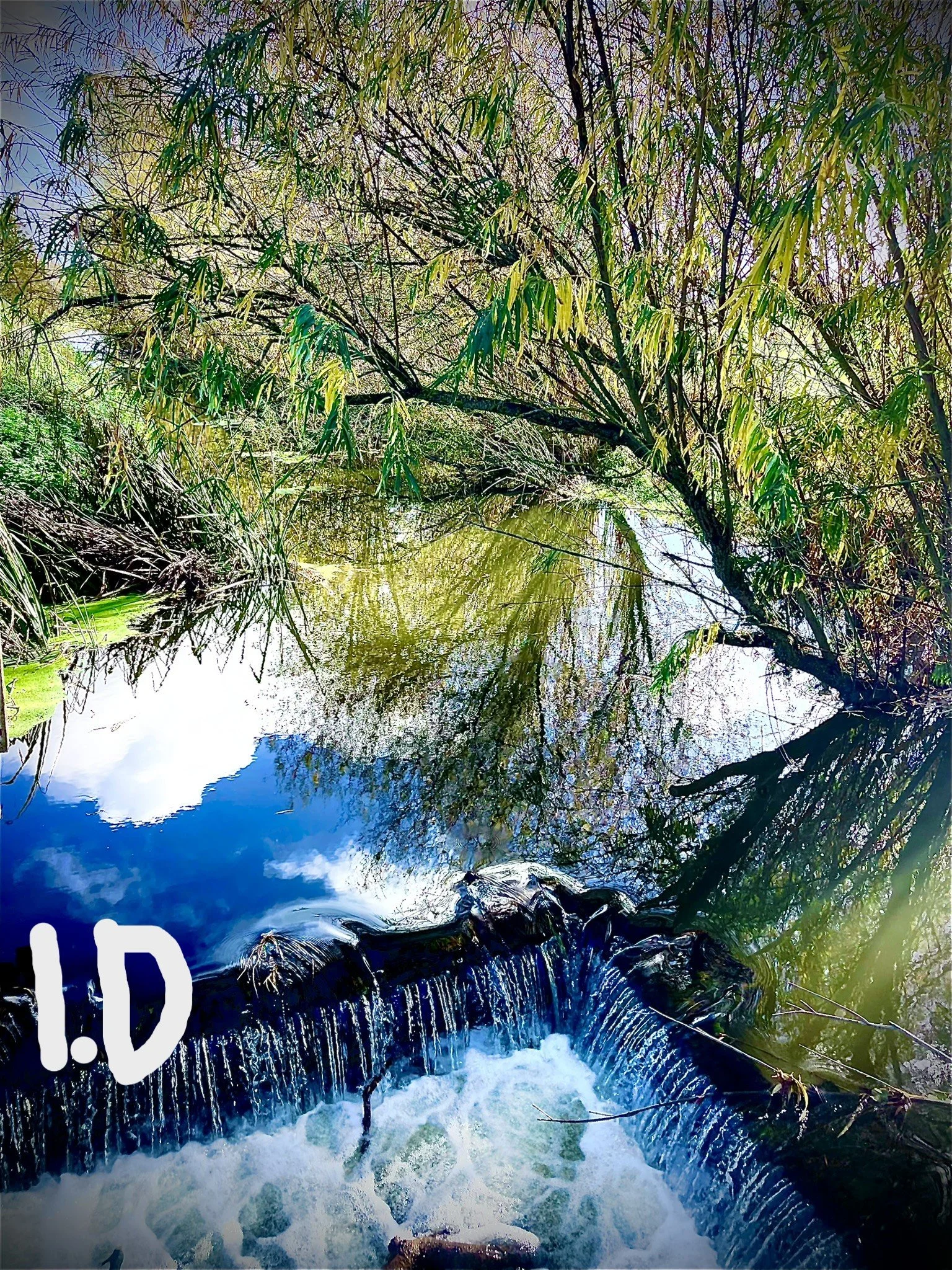 IMG_0234.JPEG