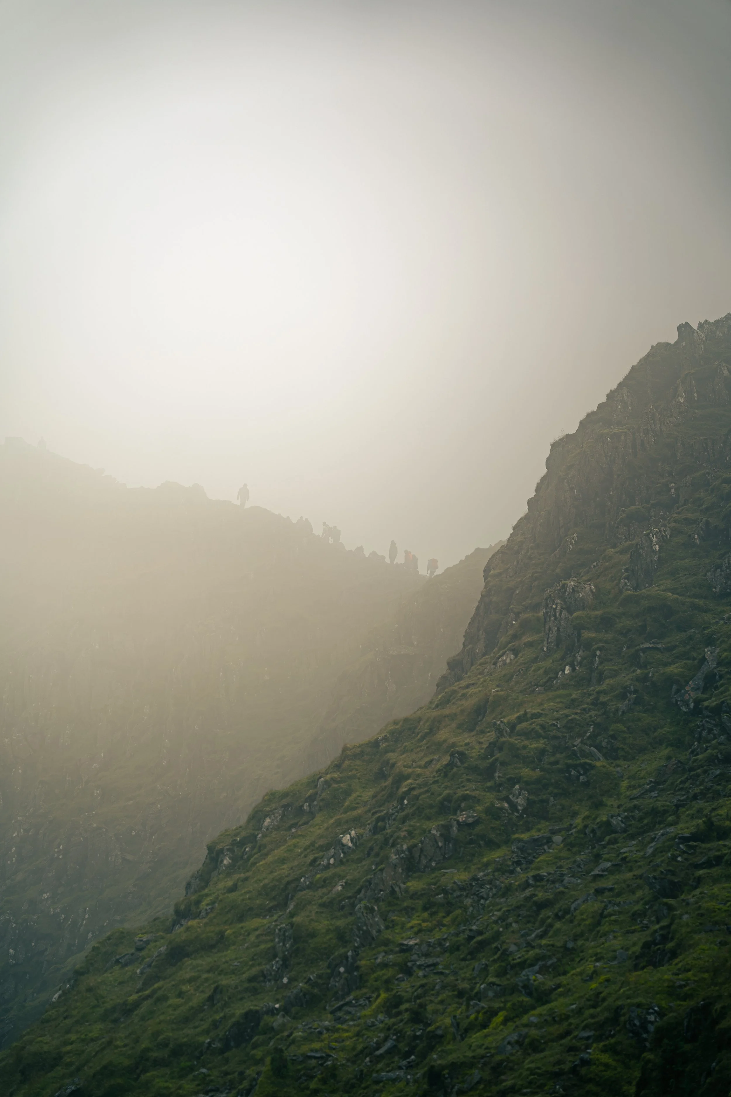 A7C04515.jpg