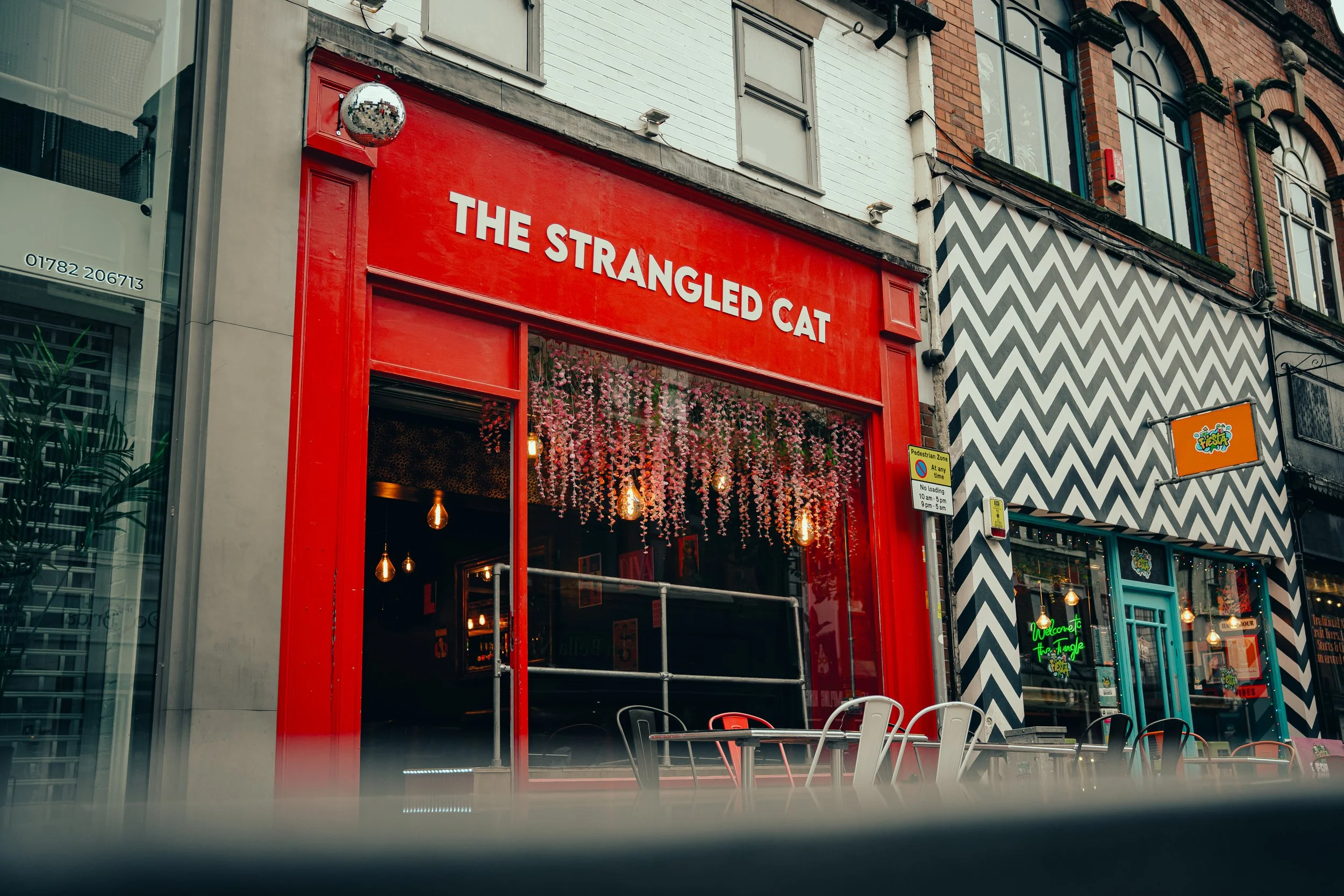 The Strangled Cat