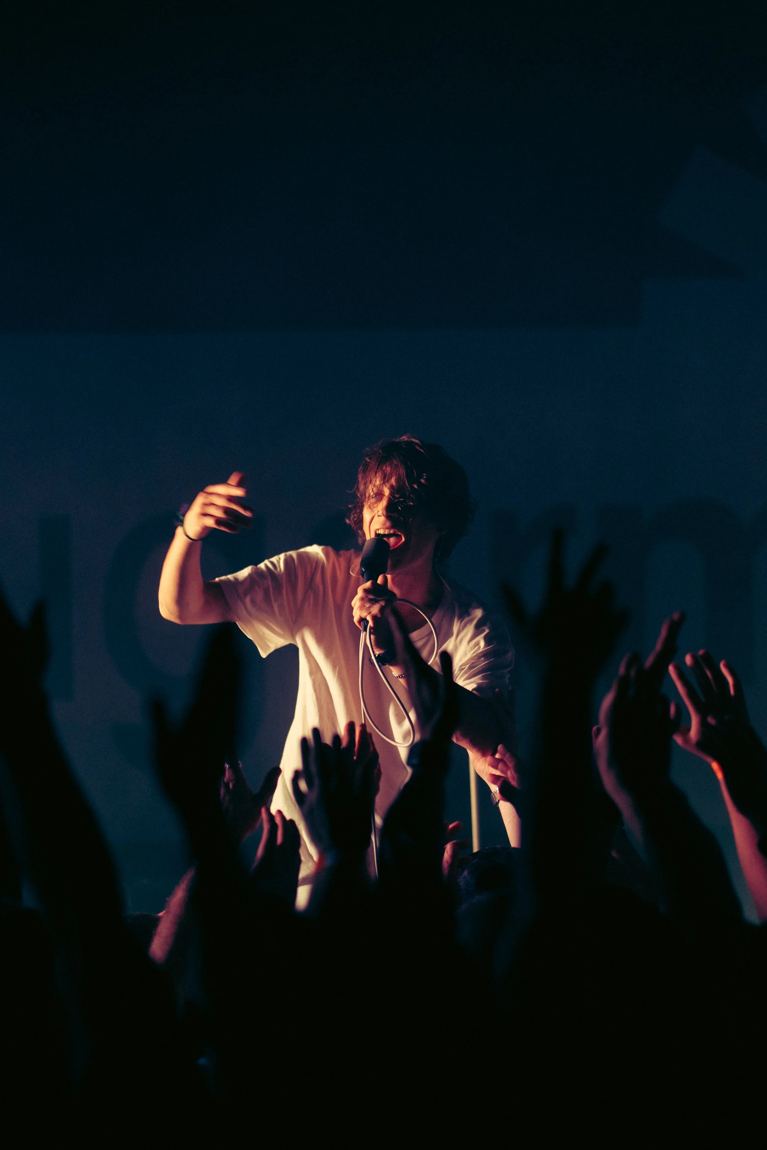 A singer performing on stage with a microphone, surrounded by an enthusiastic audience with raised hands.