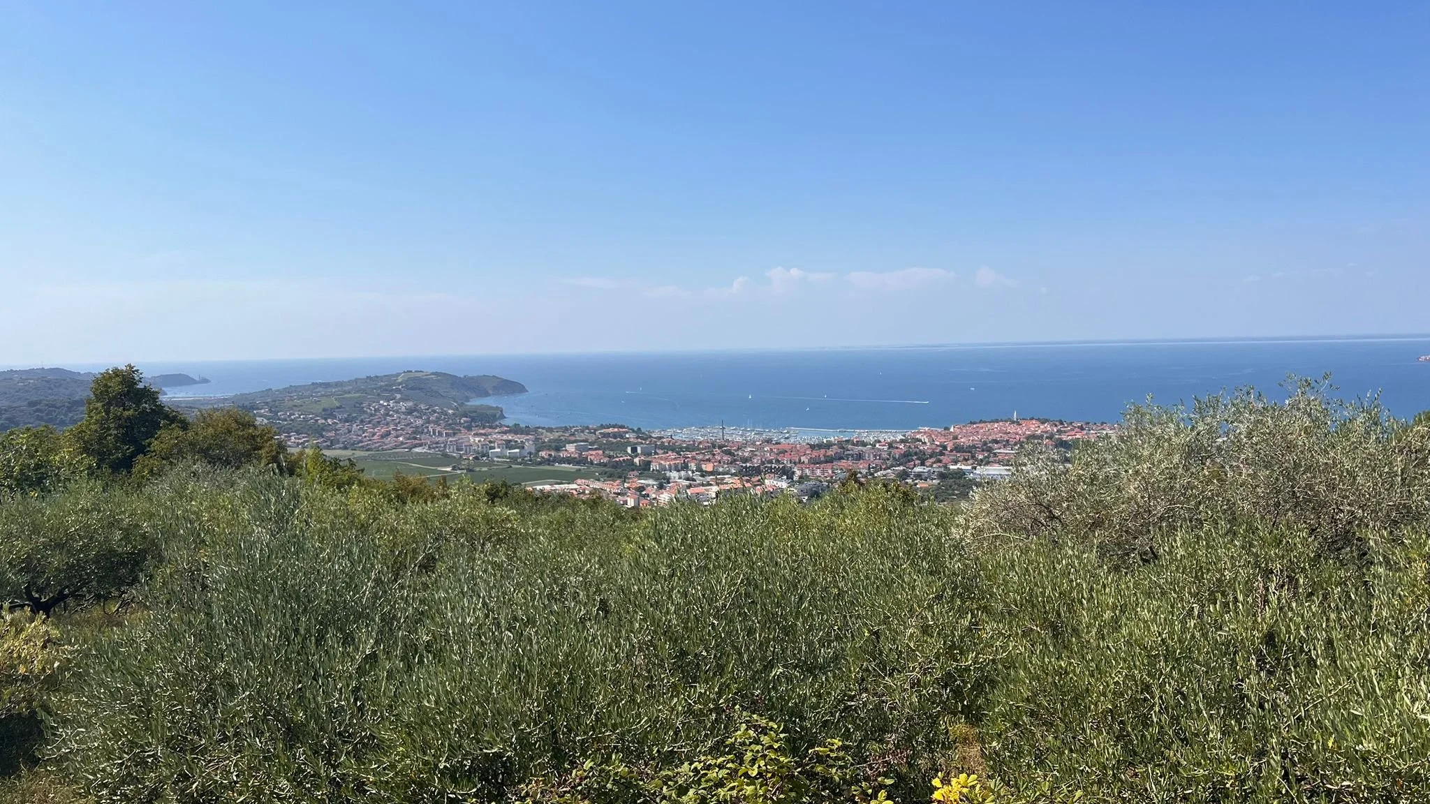 WhatsApp Image 2026-01-20 at 19.14.36.jpeg