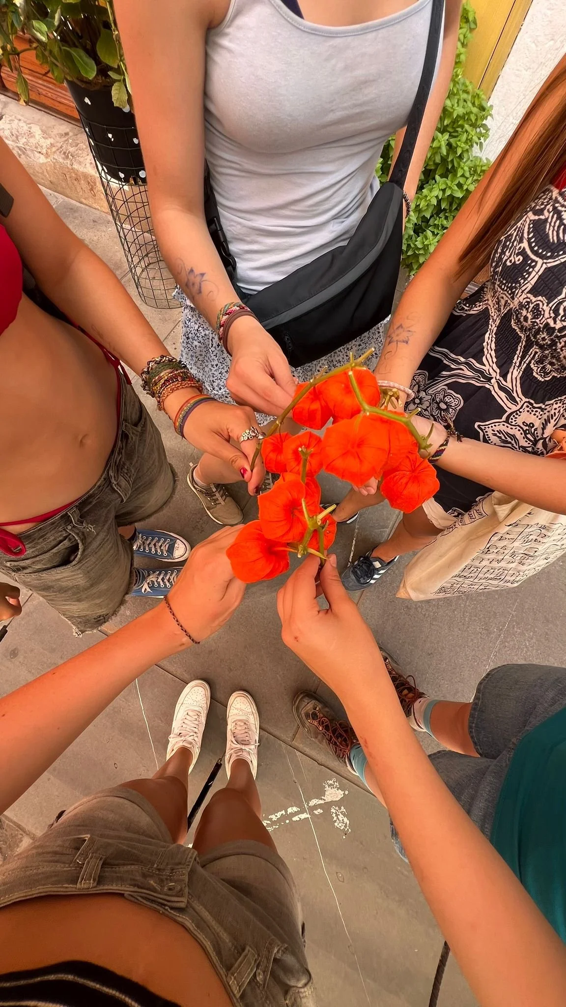 WhatsApp Image 2026-01-20 at 19.14.38.jpeg