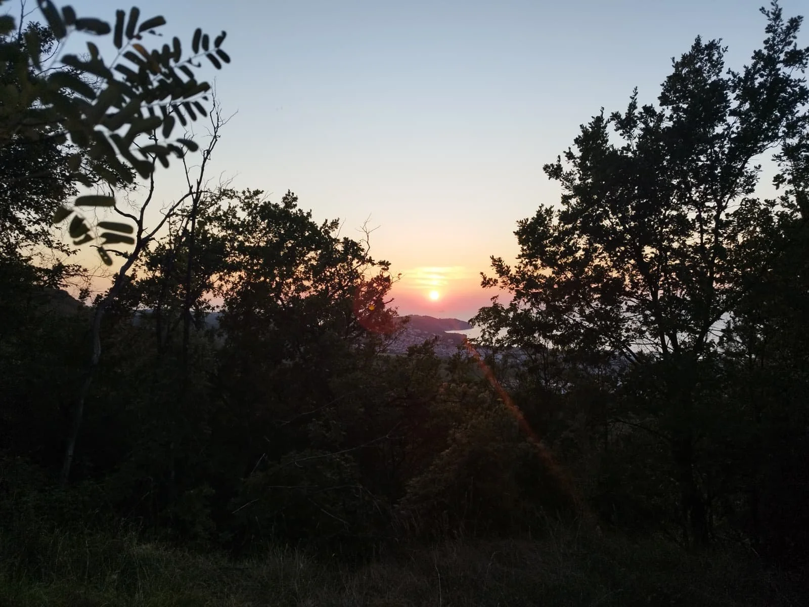 WhatsApp Image 2026-01-20 at 19.17.28.jpeg