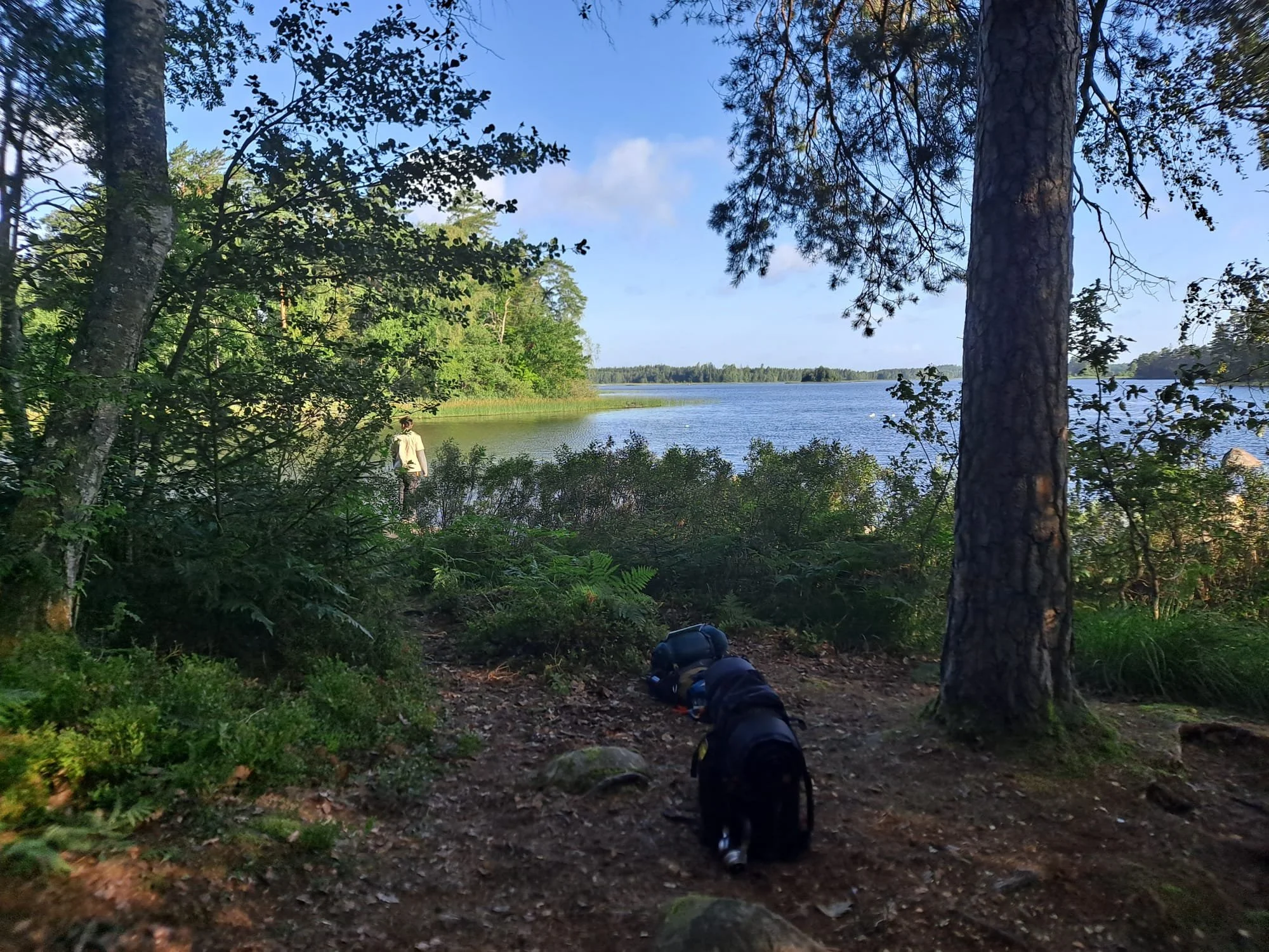 WhatsApp Bild 2025-08-27 um 20.25.44_1e4dabb6.jpg