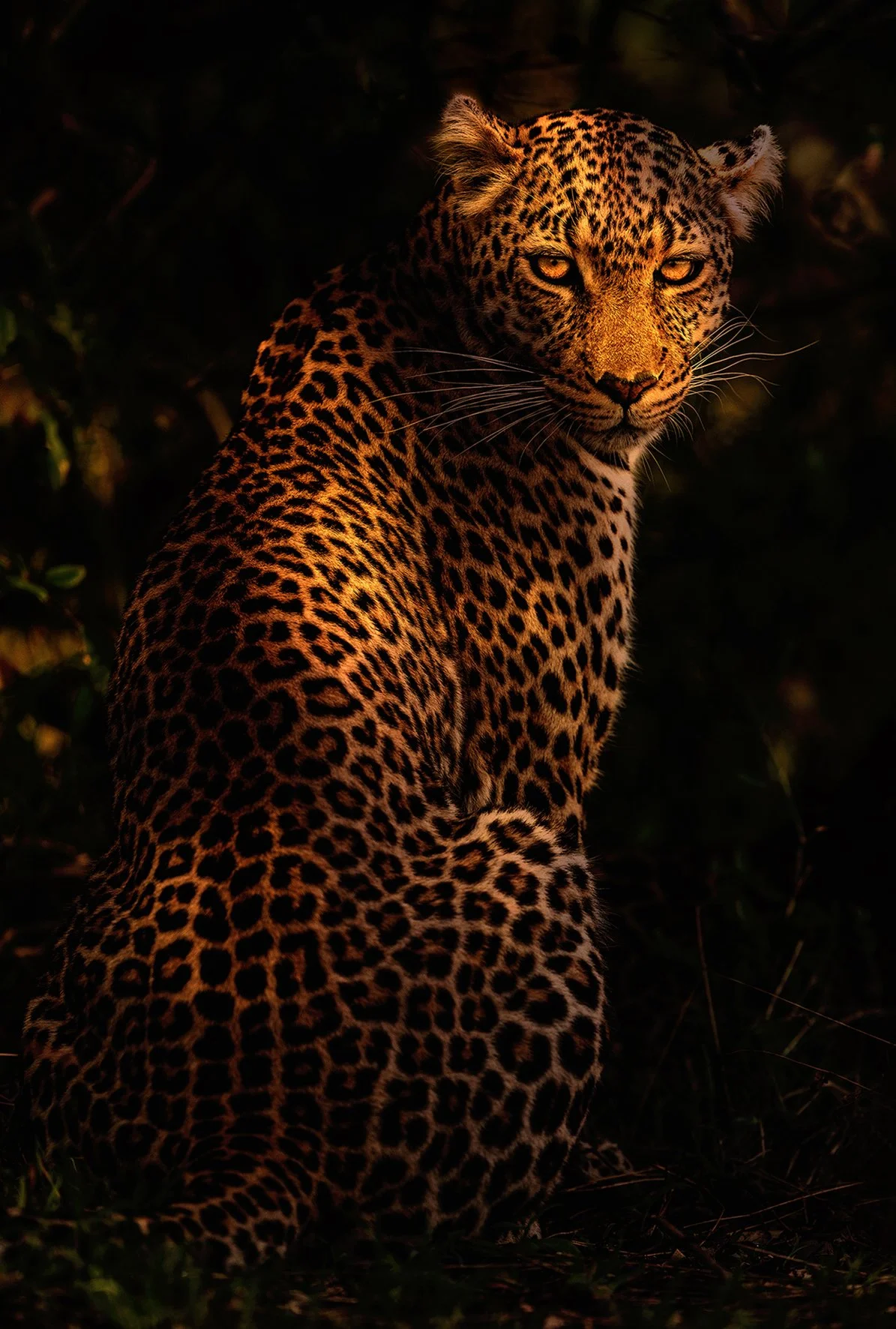 PRÉSENCE SILENCIEUSE