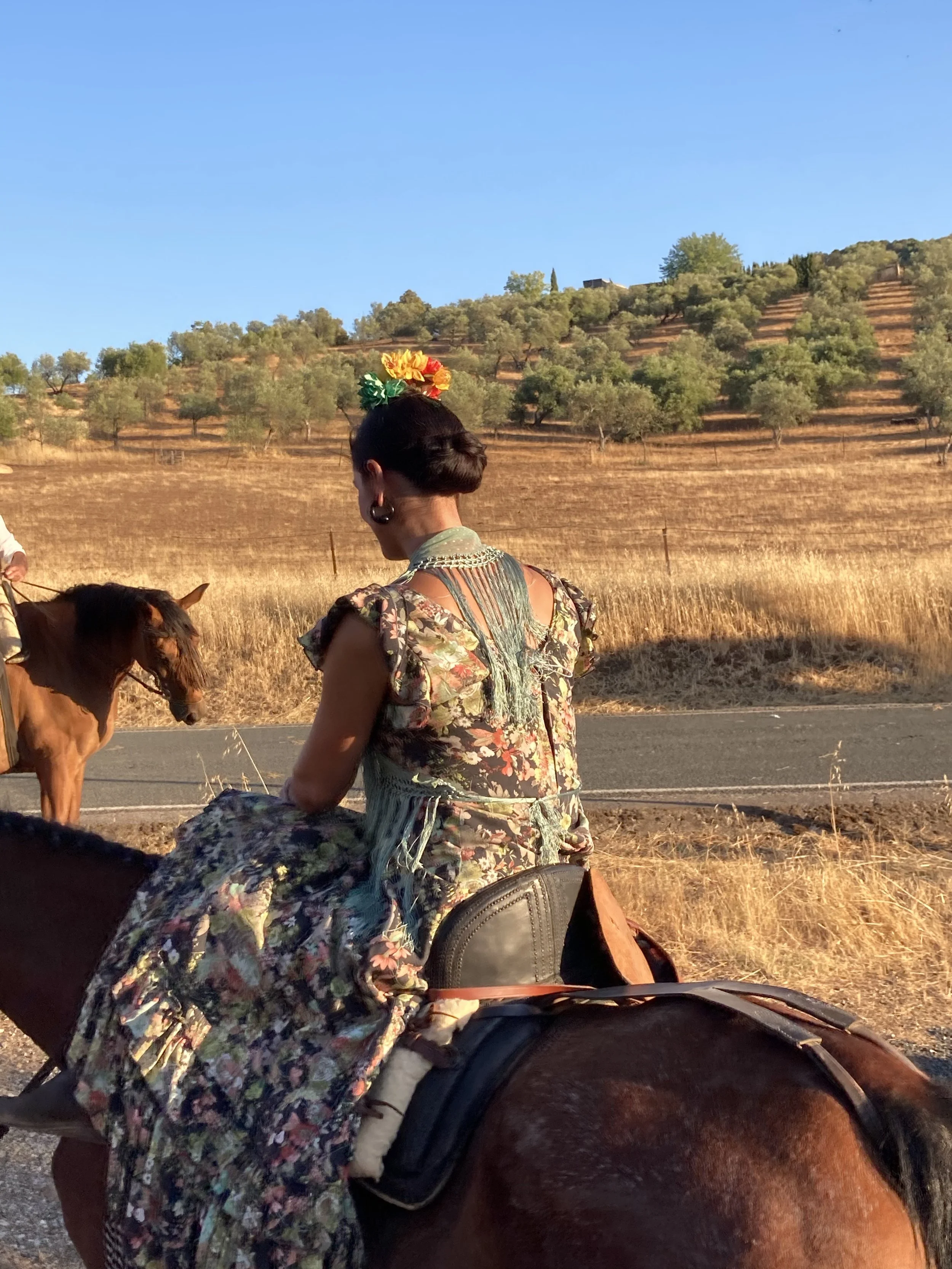 personaje 2 romeria.jpg