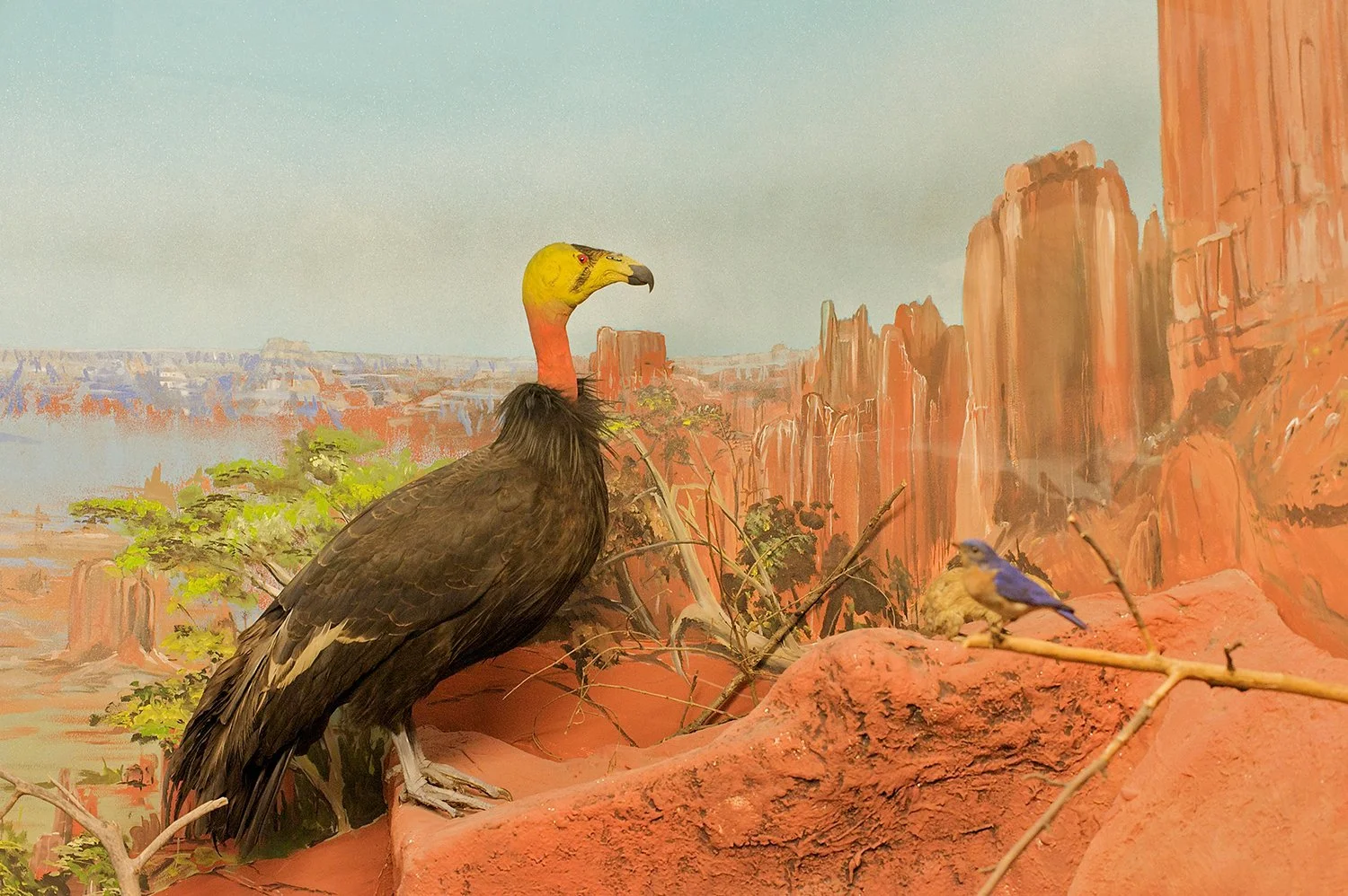 Terra Incognita (Copy)