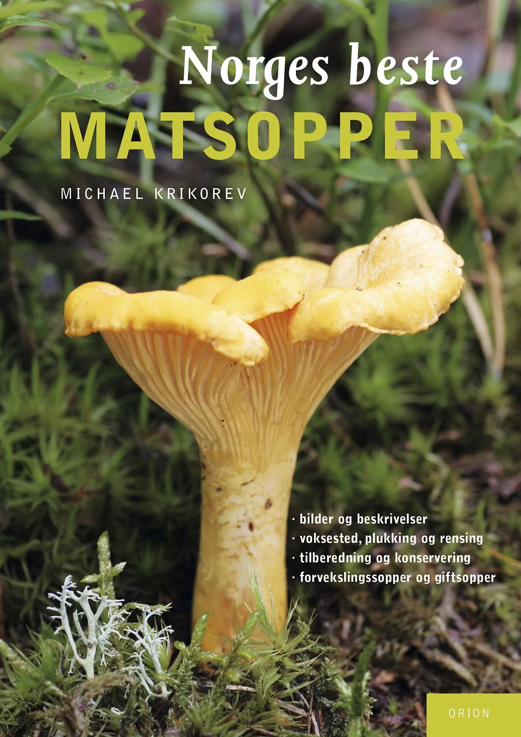 Matsopper-Cover.jpg