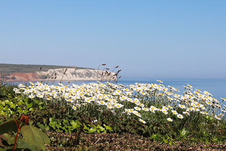 Credit: Paul Coueslant