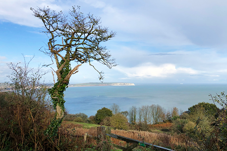 Credit: Paul Coueslant