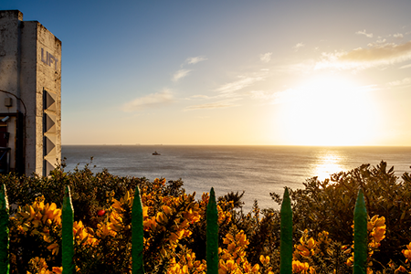 Credit: Julian Winslow