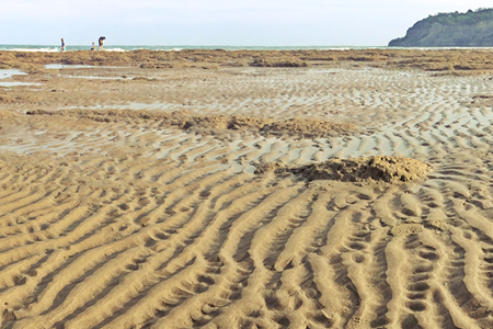 Credit: Ian Boyd and The Common Space