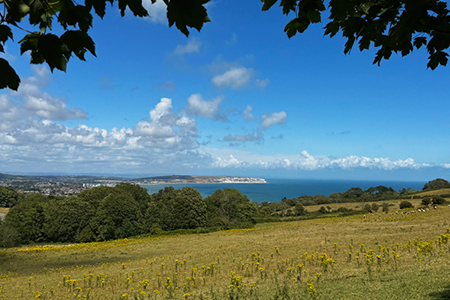 Credit: Paul Coueslant