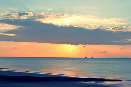 Credit: Ian Boyd and The Common Space