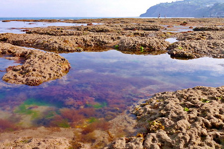 Credit: Ian Boyd and The Common Space