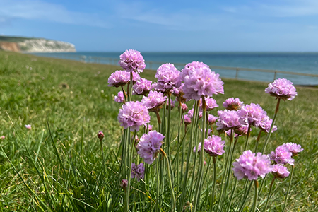 Credit: Paul Coueslant