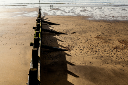 Credit: Julian Winslow