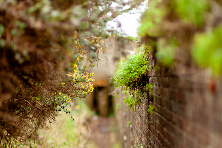 Credit: Julian Winslow