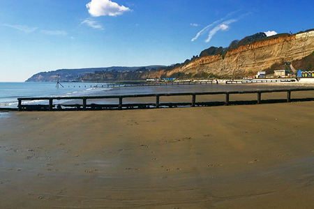 Credit: Ian Boyd and The Common Space