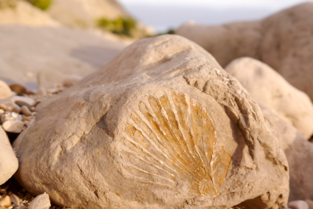 Credit: Ian Boyd and The Common Space 