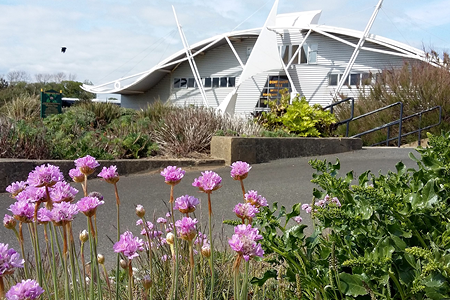 Credit: Claire Hector and The Common Space 