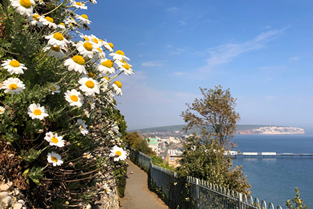 Credit: Paul Coueslant