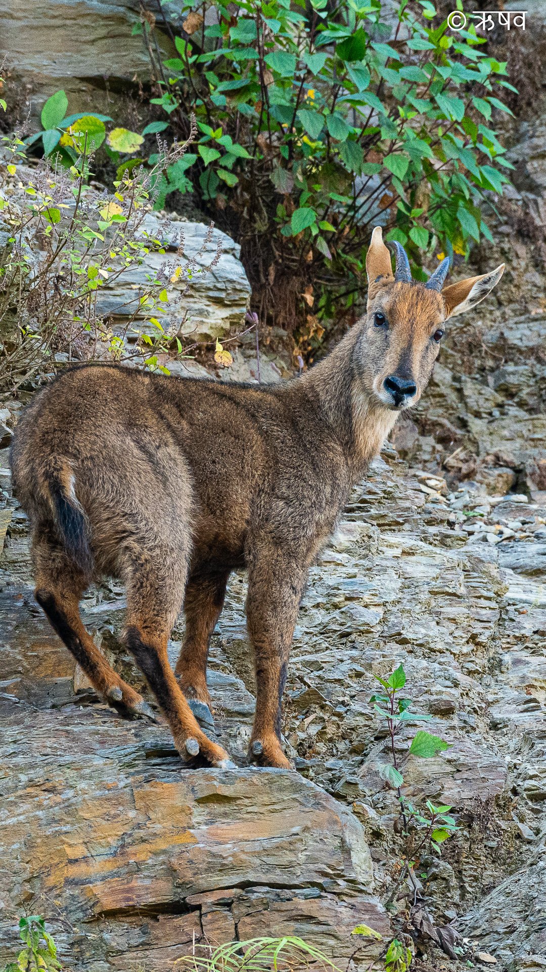 _DSC5606.jpg