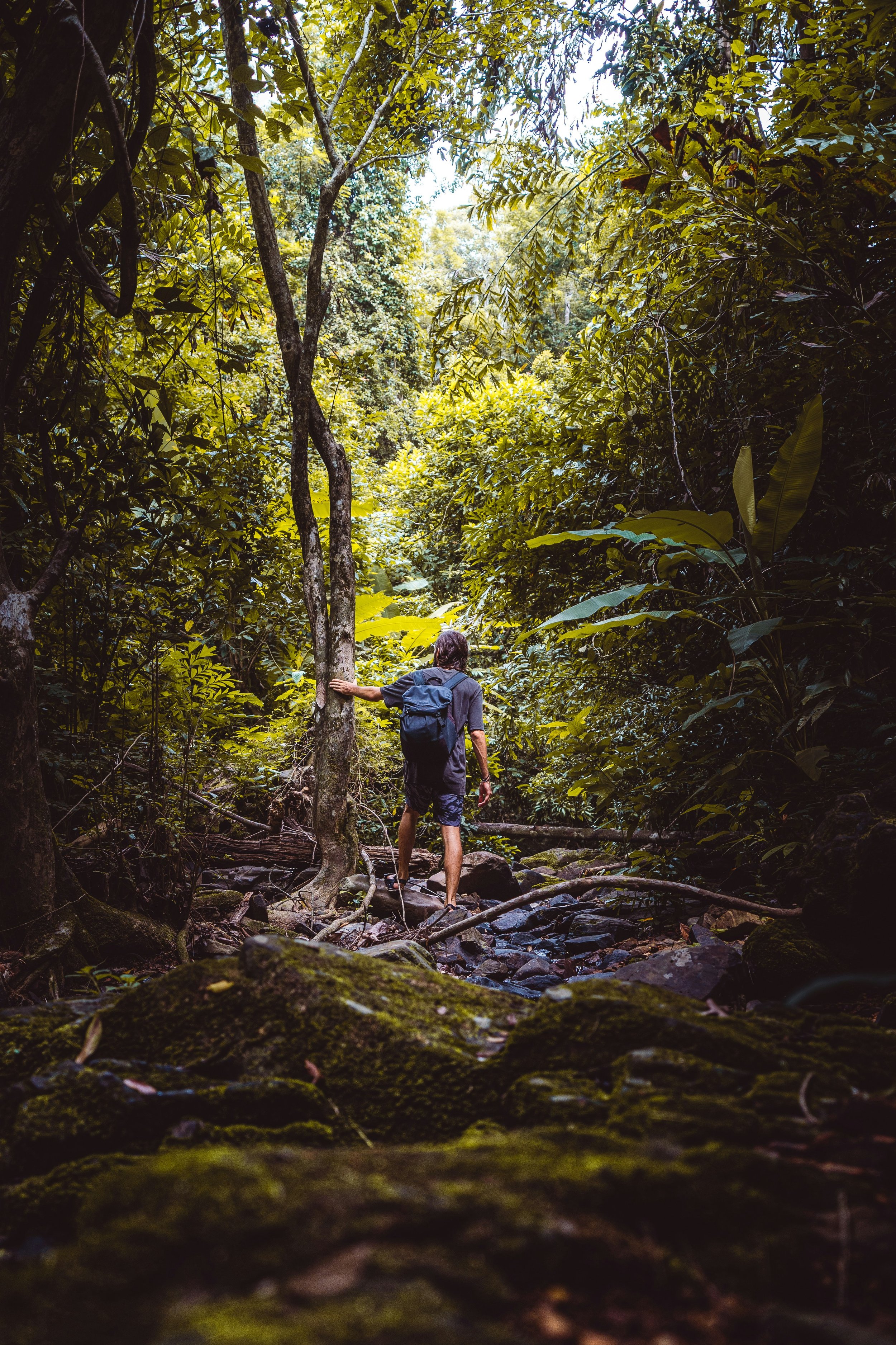 thailand-jungle-hiking-adventure-vivenza.png