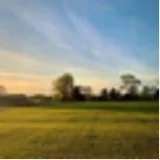 Darley field evening.jpg