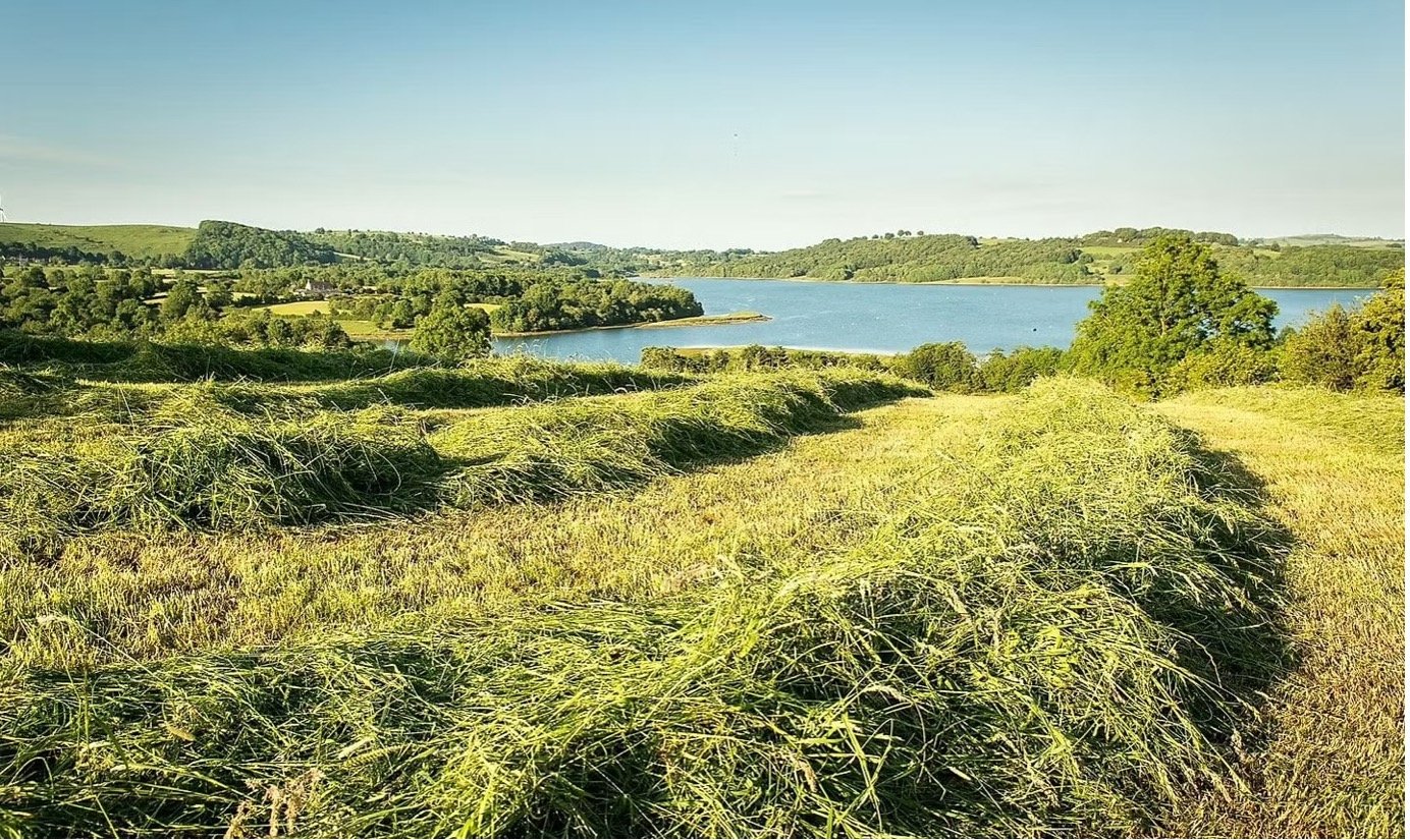 Glorious late summer at Carsington