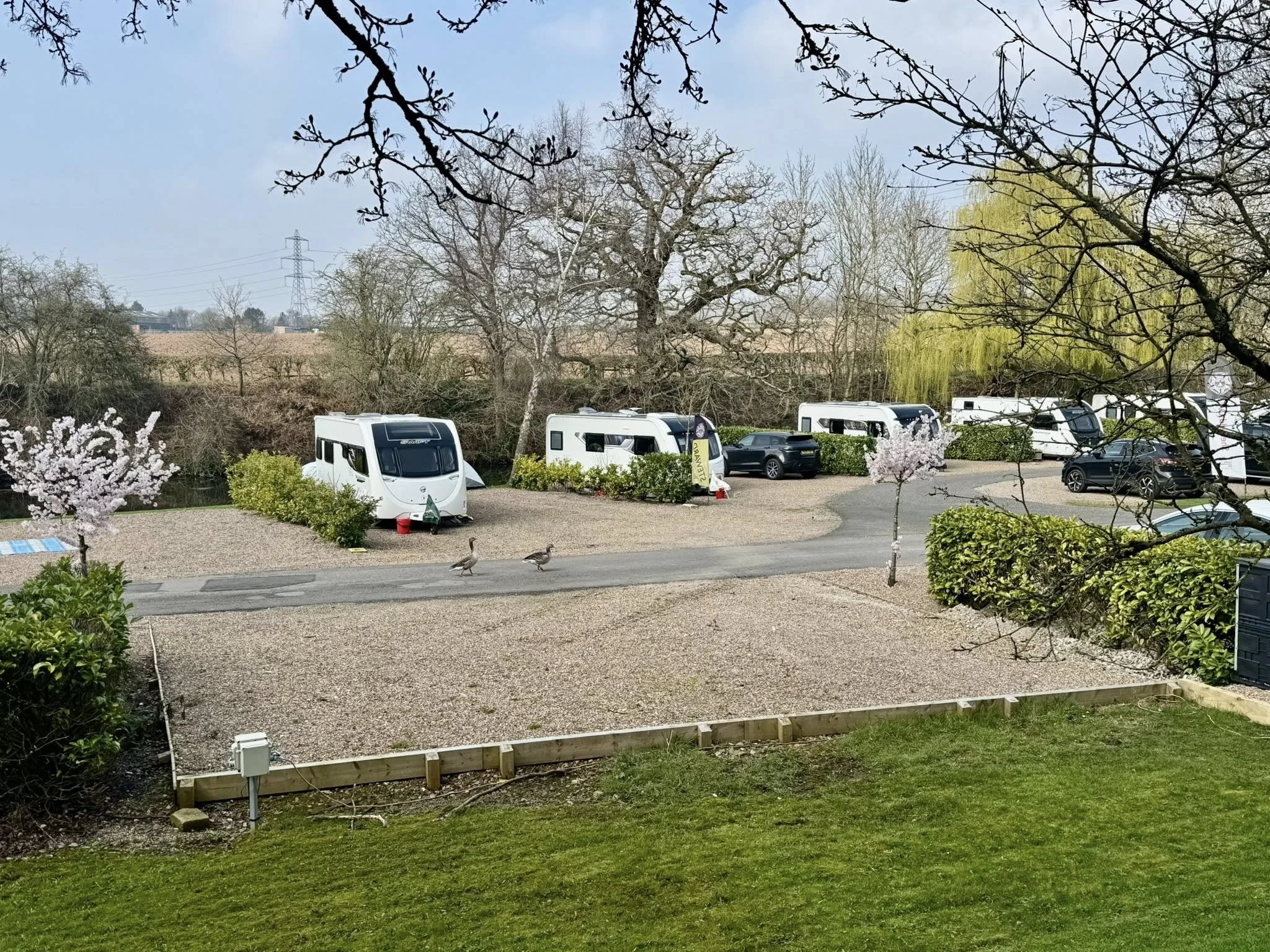 Sherwood Forest_26_4.jpg