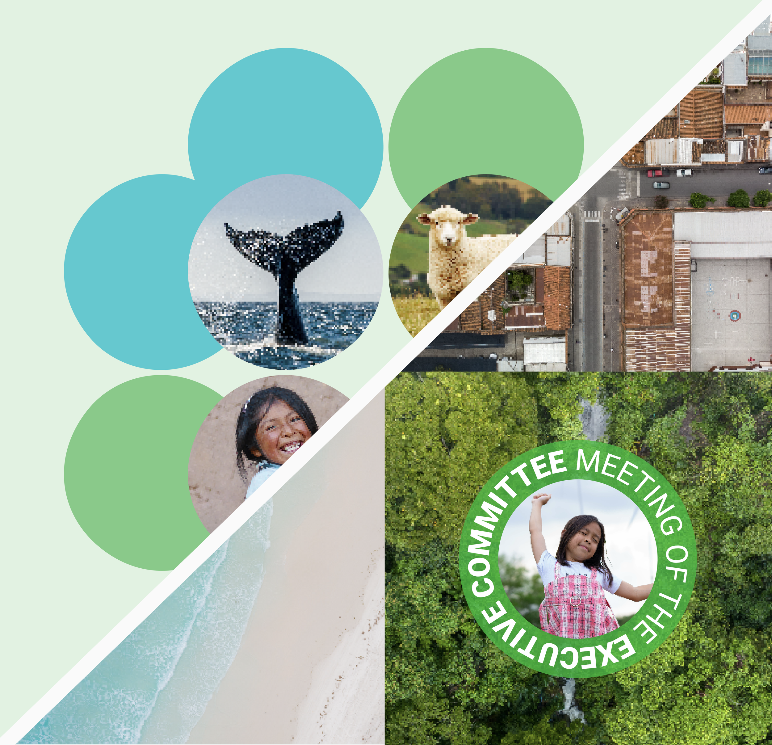 Hero image showing two visual concepts for the MLF ExCom identity, featuring earth-toned colours, photography, and playful use of the ozone molecule.