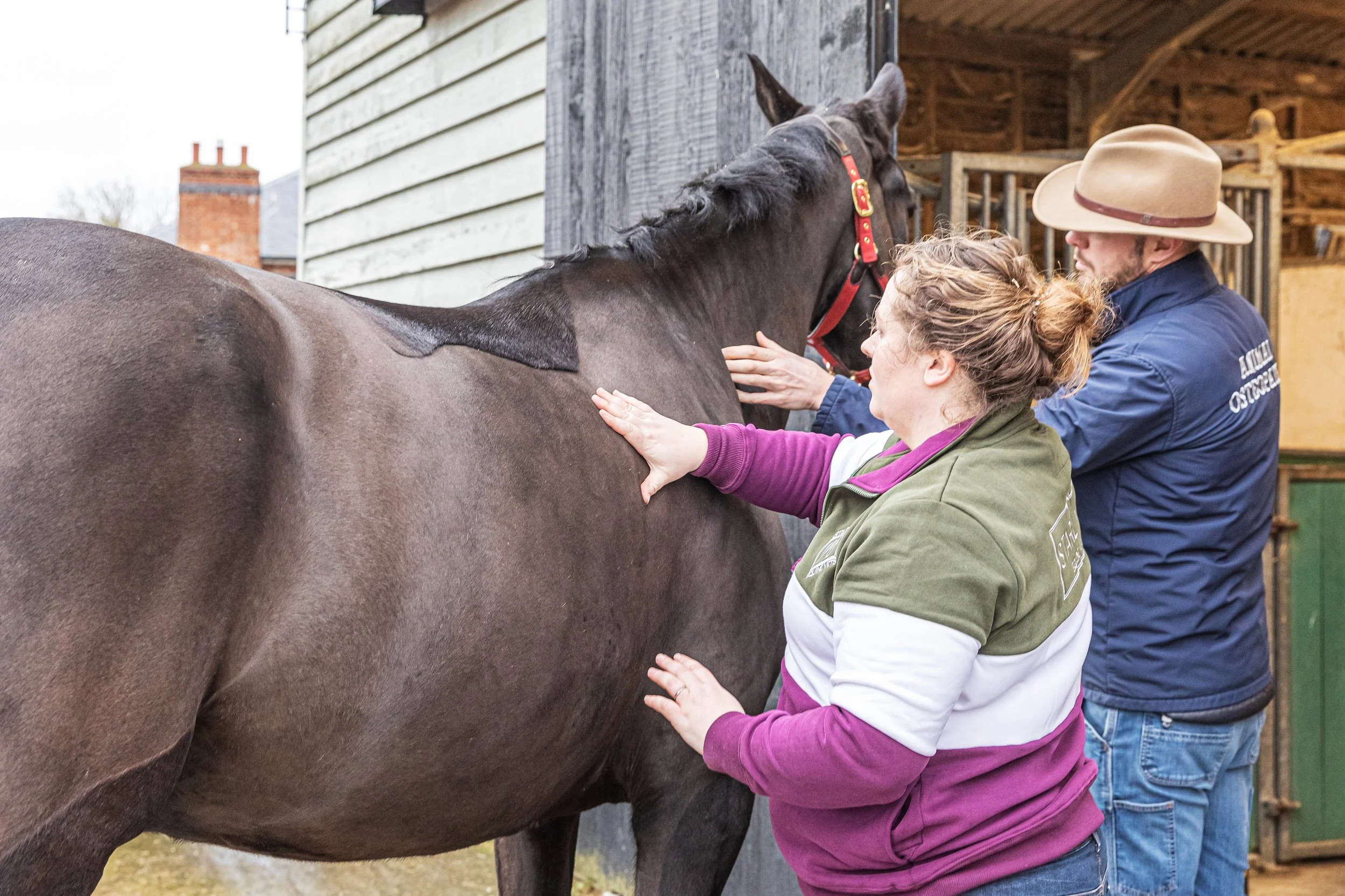 The benefits of a mid season comp check with Starling Equine Vets