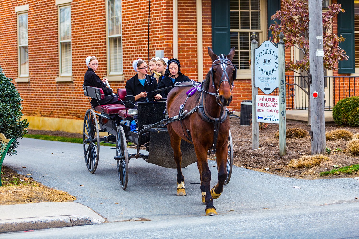 Amish Country School Tour: Middle Schooler Wins 1st Place Award