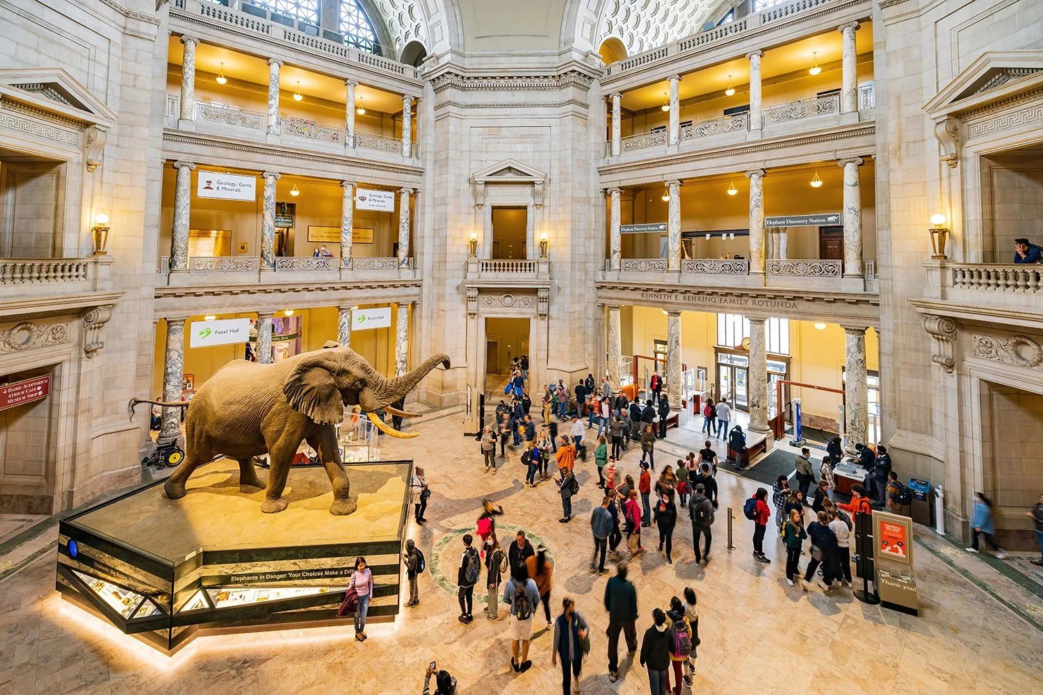 The Top 10 Museums to Visit on an Educational Student Tour of Washington D.C.