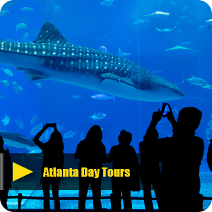 Atlanta-Day-Tours-TH.png