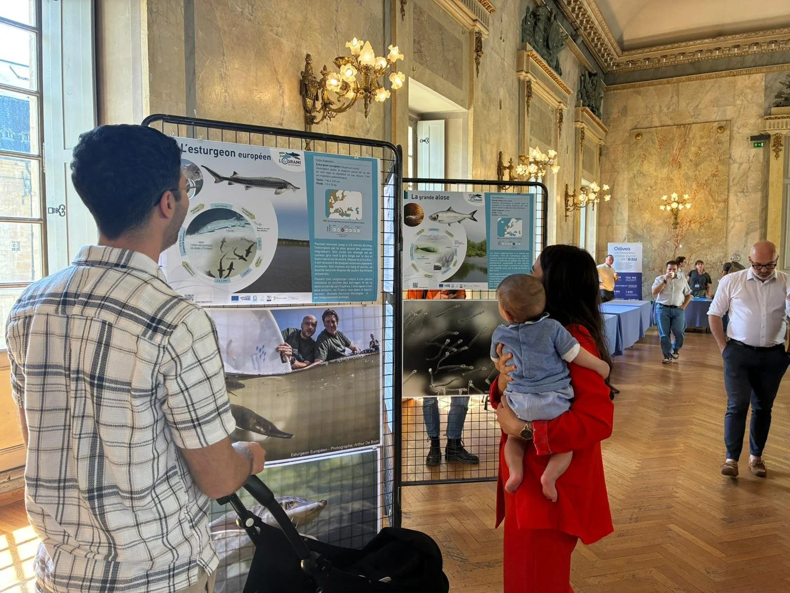 Appel du Parlement Français des Jeunes pour l'Eau pour la préservation des poissons migrateurs, patrimoines vivants de nos rivières