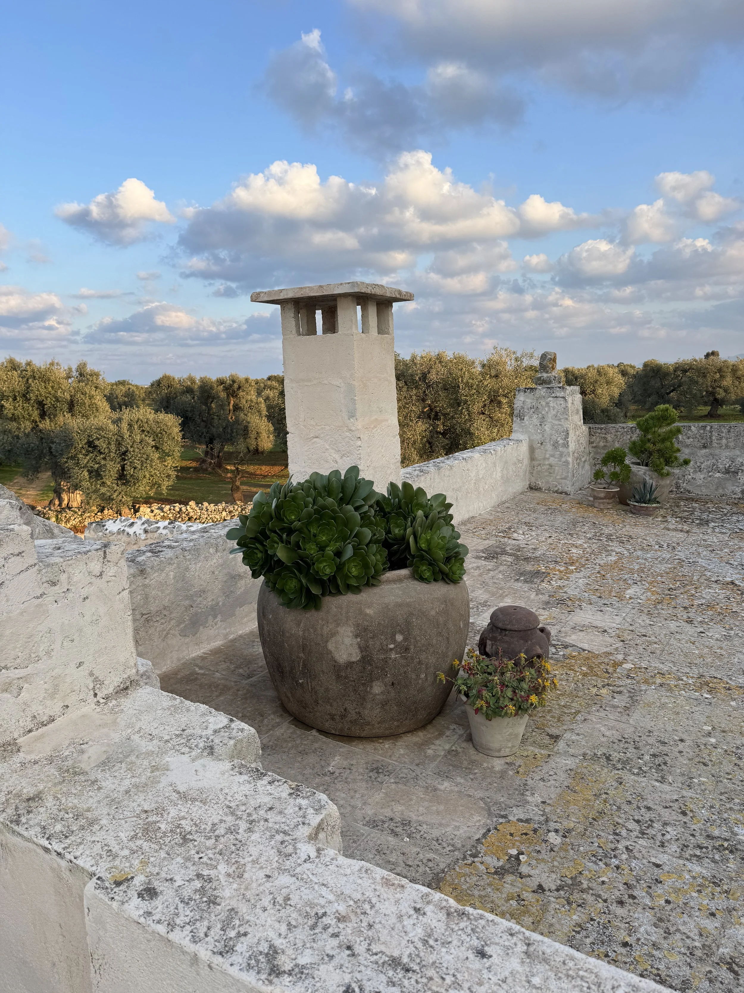 terrasse.jpg