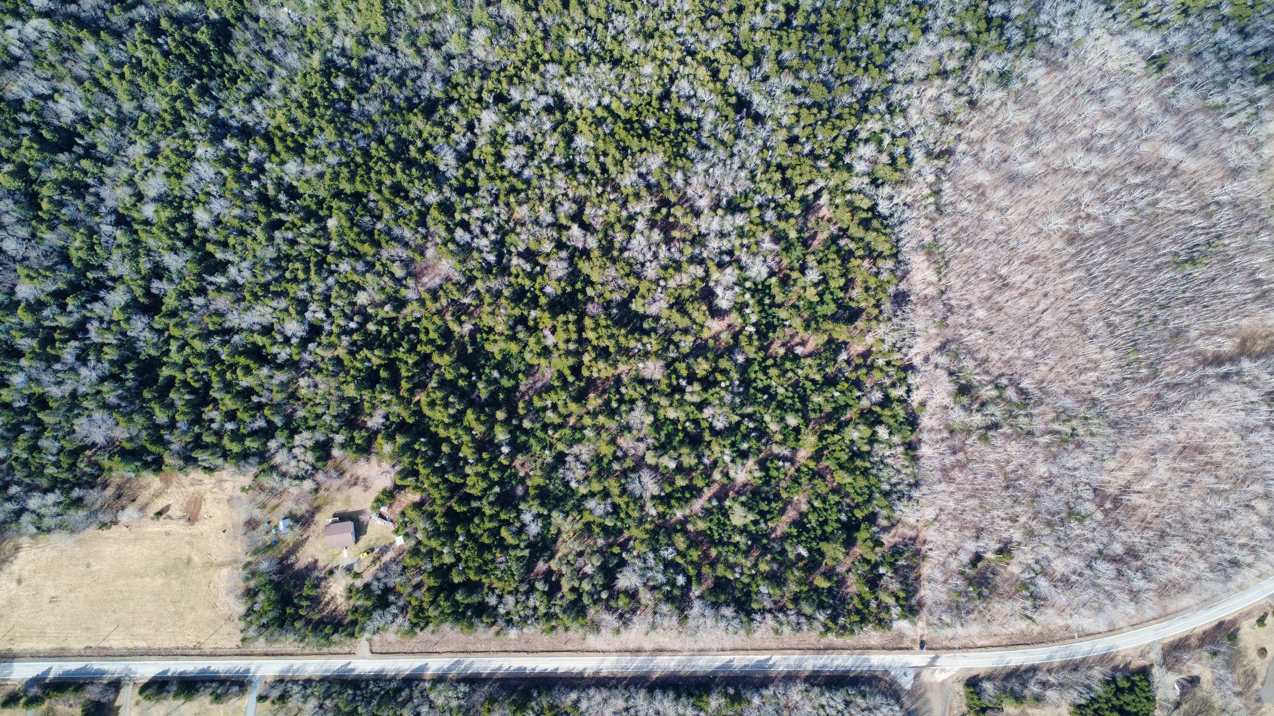 dji_fly_20250407_102336_11_1744032306901_photo_optimized.jpeg