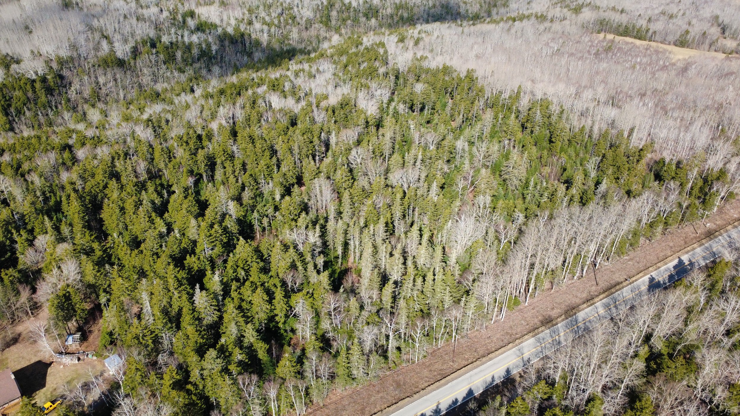 dji_fly_20250407_102118_8_1744032269027_photo_optimized.jpeg
