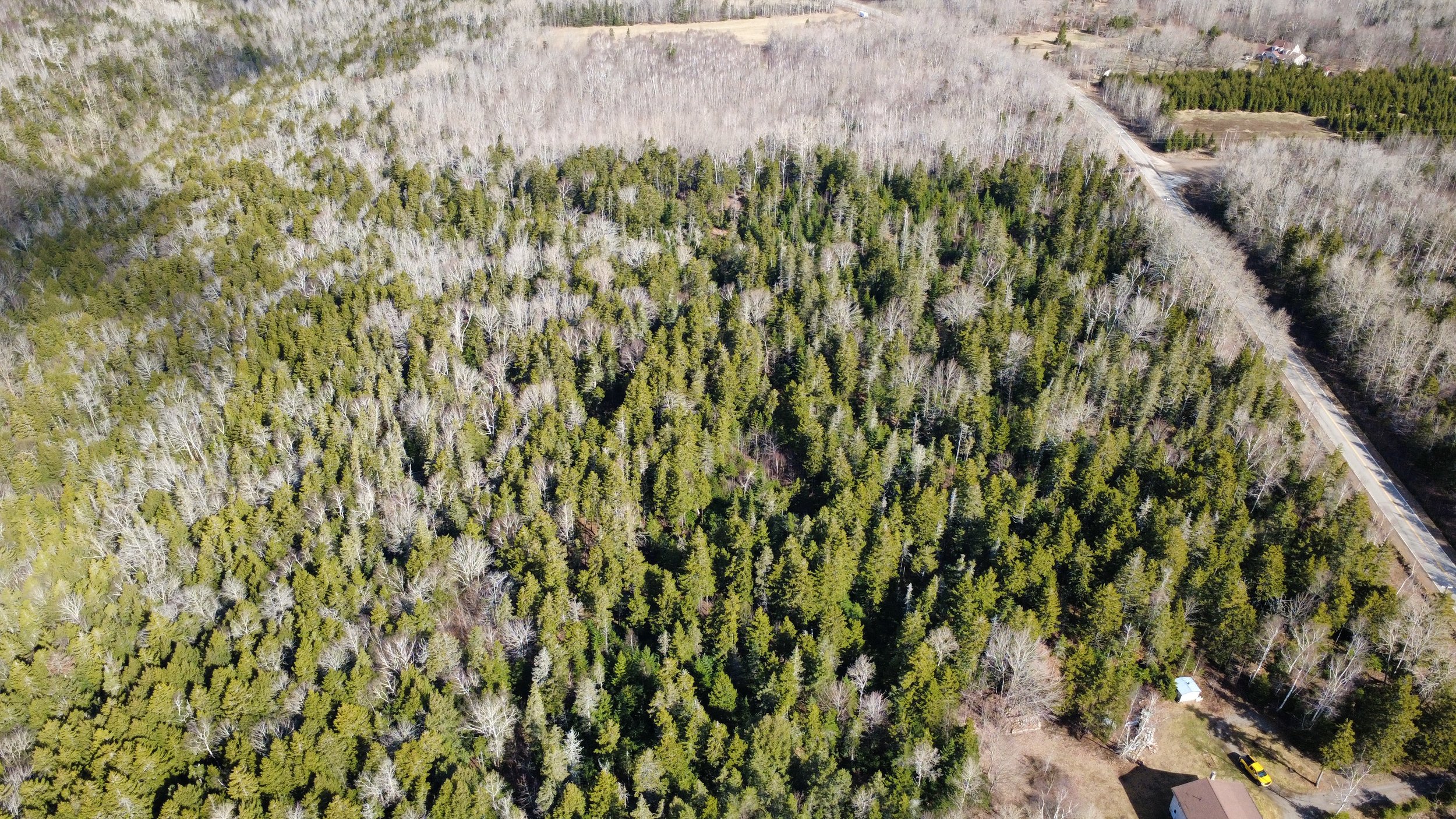 dji_fly_20250407_102048_7_1744032276402_photo_optimized.jpeg