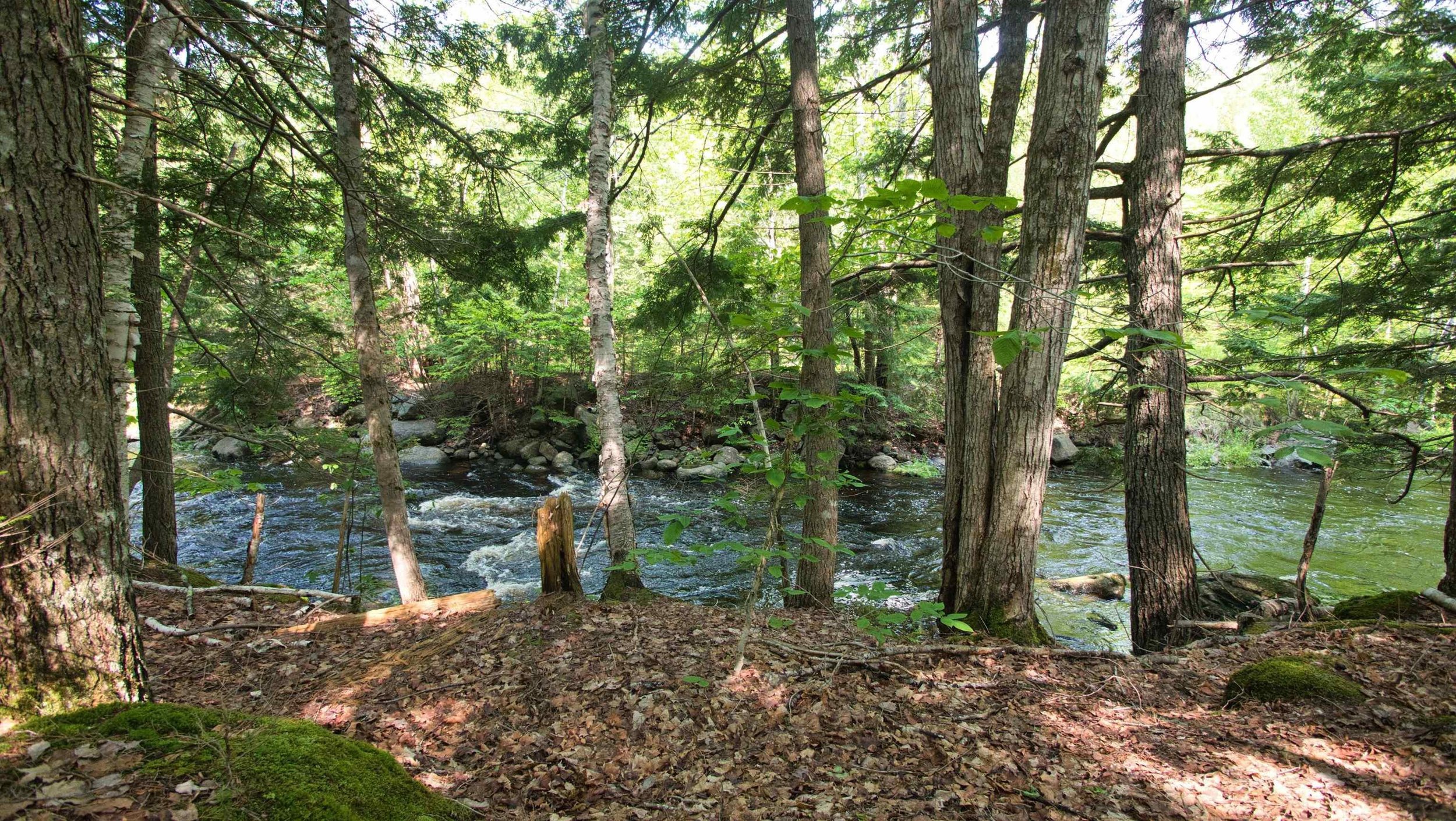 Image 8.jpeg