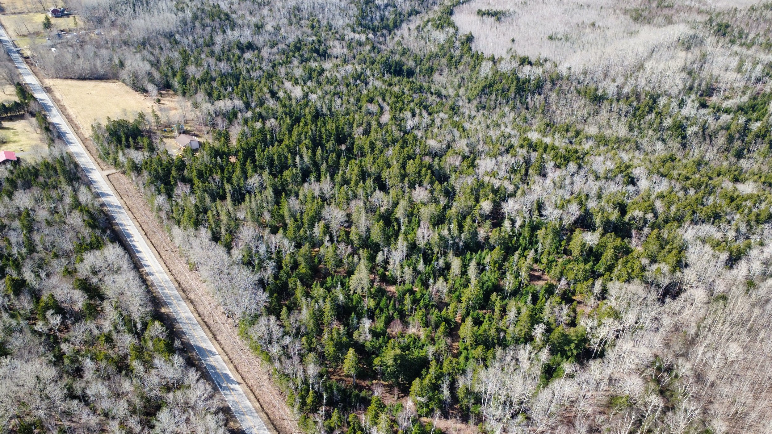 dji_fly_20250407_101730_3_1744032201140_photo_optimized.jpeg