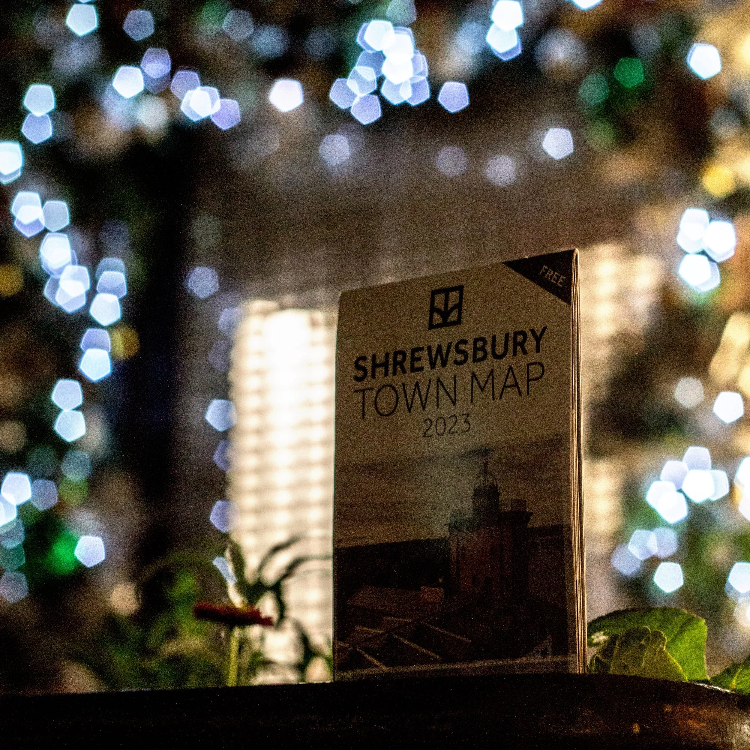 Map+Bokeh+%231.jpg