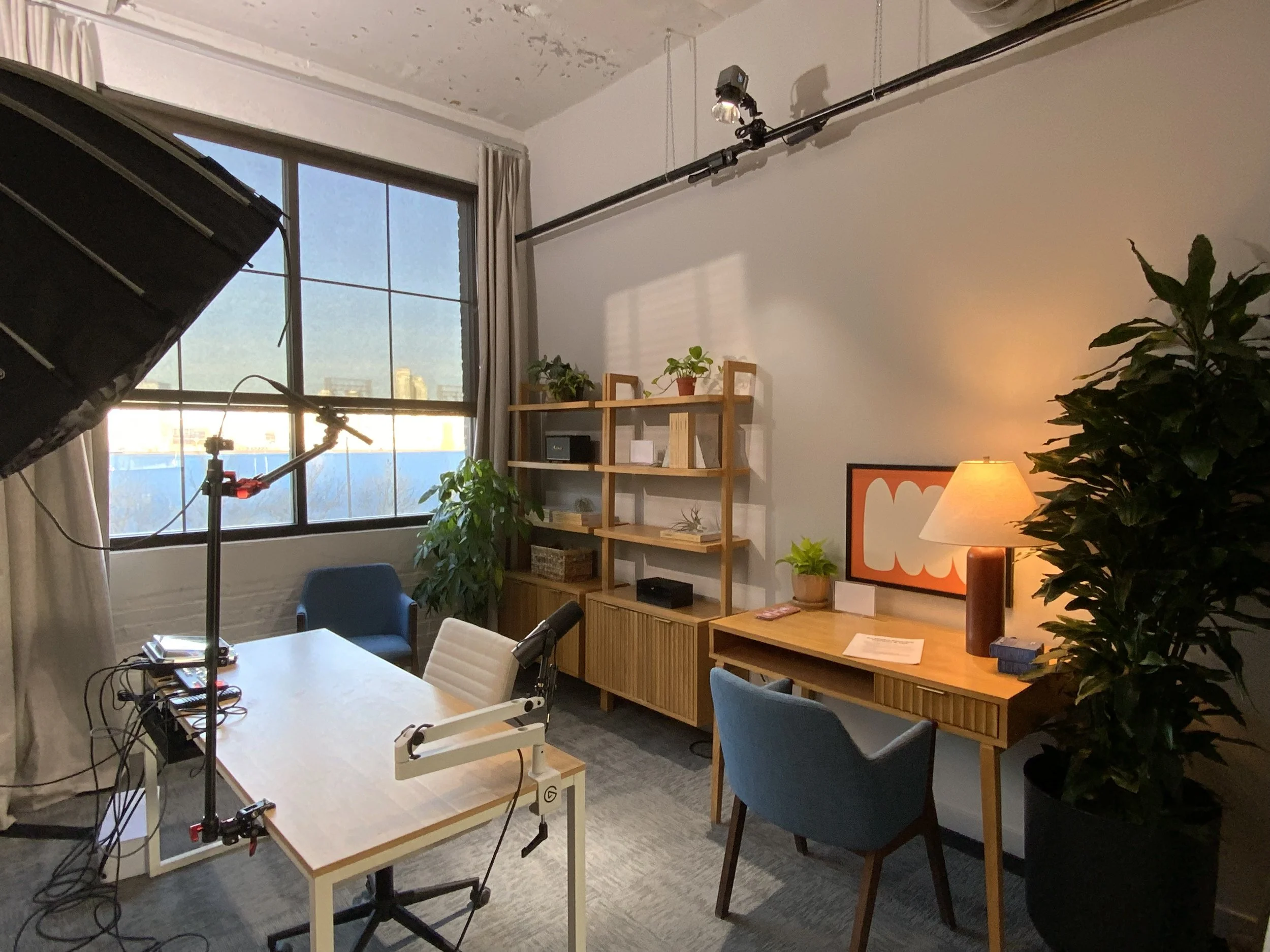 A room with large windows and various plants, a desk with electronic equipment, a bookshelf, and a lamp with framed artwork on the wall.
