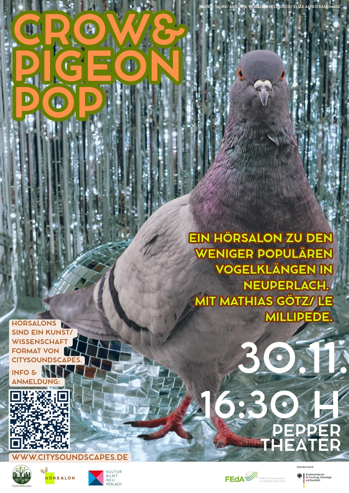 Crow &amp; Pigeon Pop. Ein HörSalon zu den weniger populären Vogelklängen in Neuperlach.