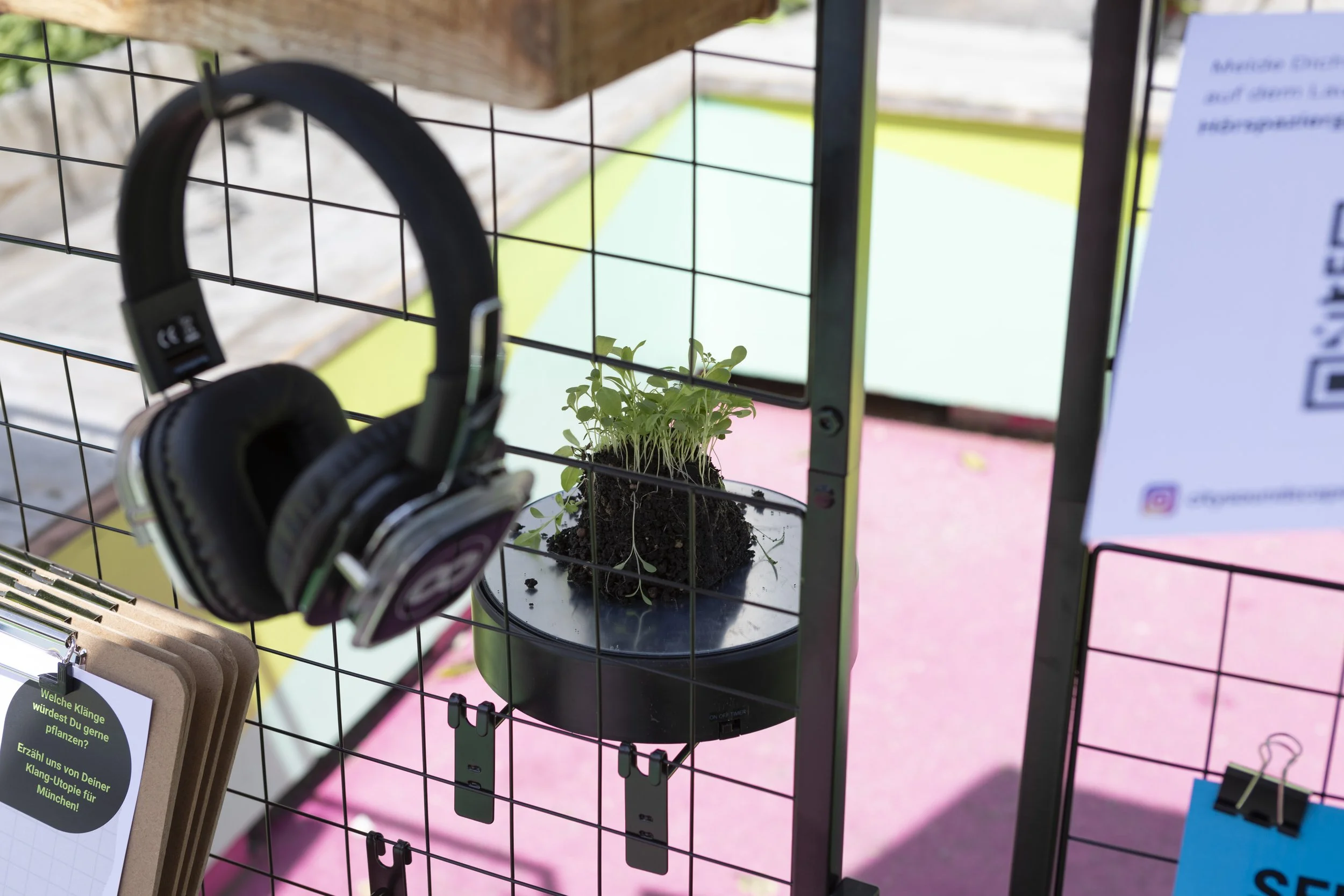 Seeds To Sounds auf der LMU Sustainability Week