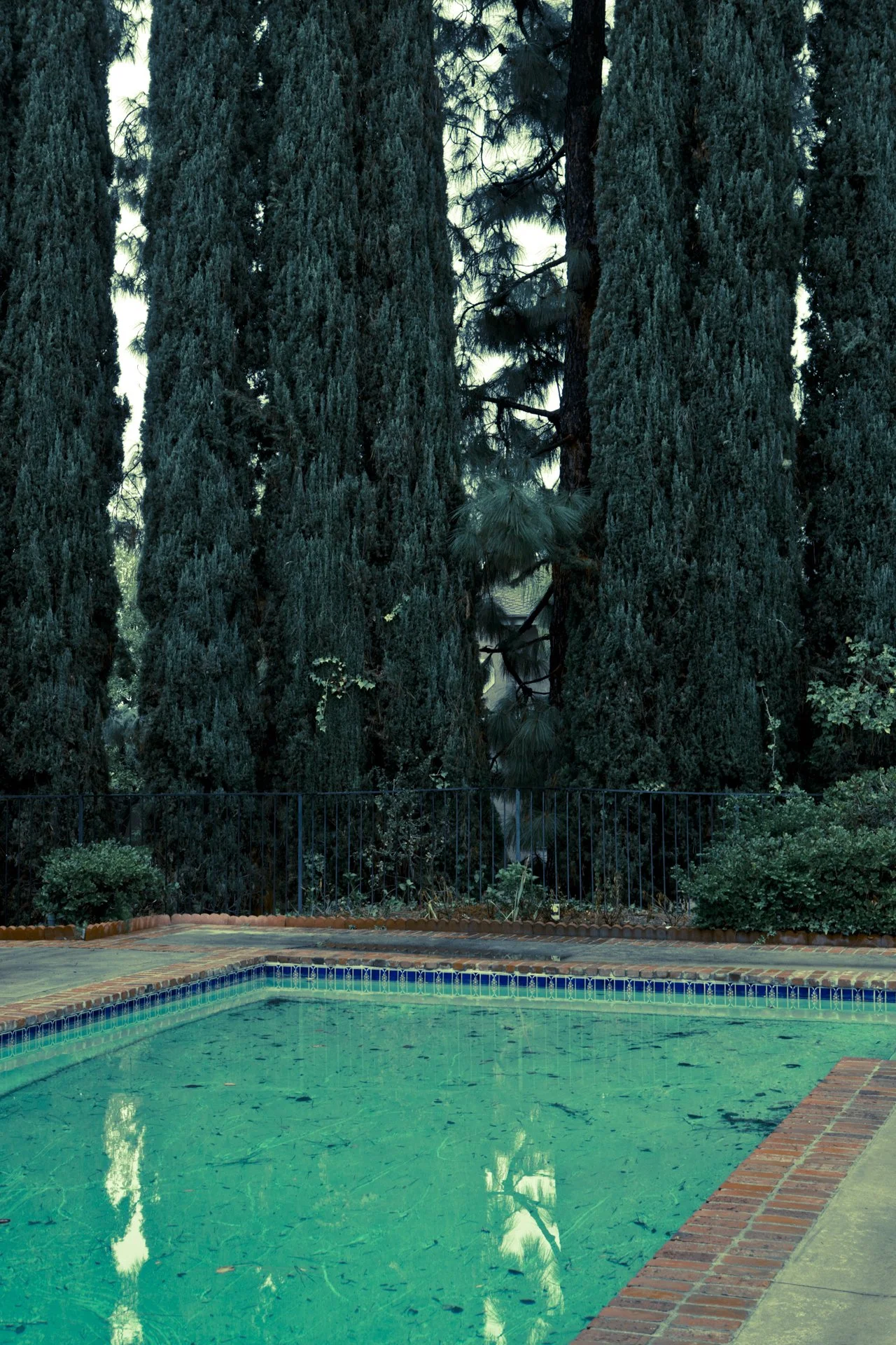 POOL_31_DANIELWOELLER_L.A.2013_7780-EN-5845_S.jpg