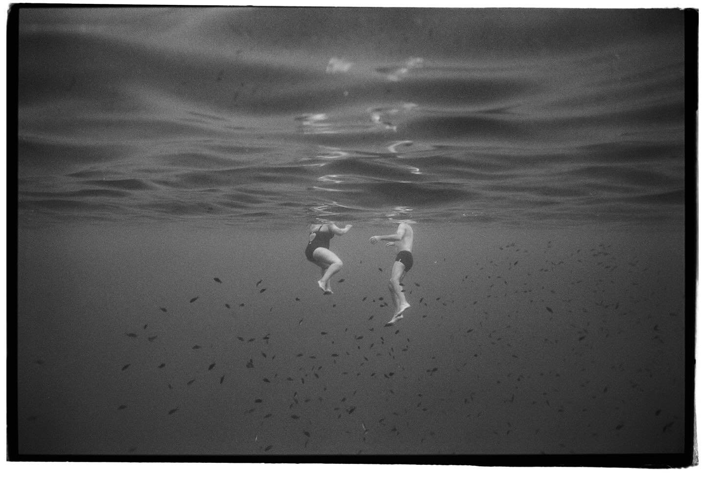Summer in the sea 🤍
.
.
.
#nikonosv #nikonosproject #bwfilm #underwaterfilm #sea #sheshootsfilm #filmisntdead #sweetsummer #mediterraneanvibes #filmlovers #35mmfilmphoto